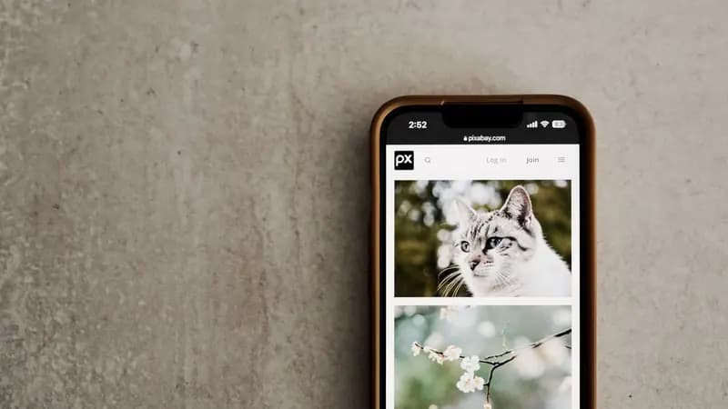 Photos displayed on a smartphone touchscreen