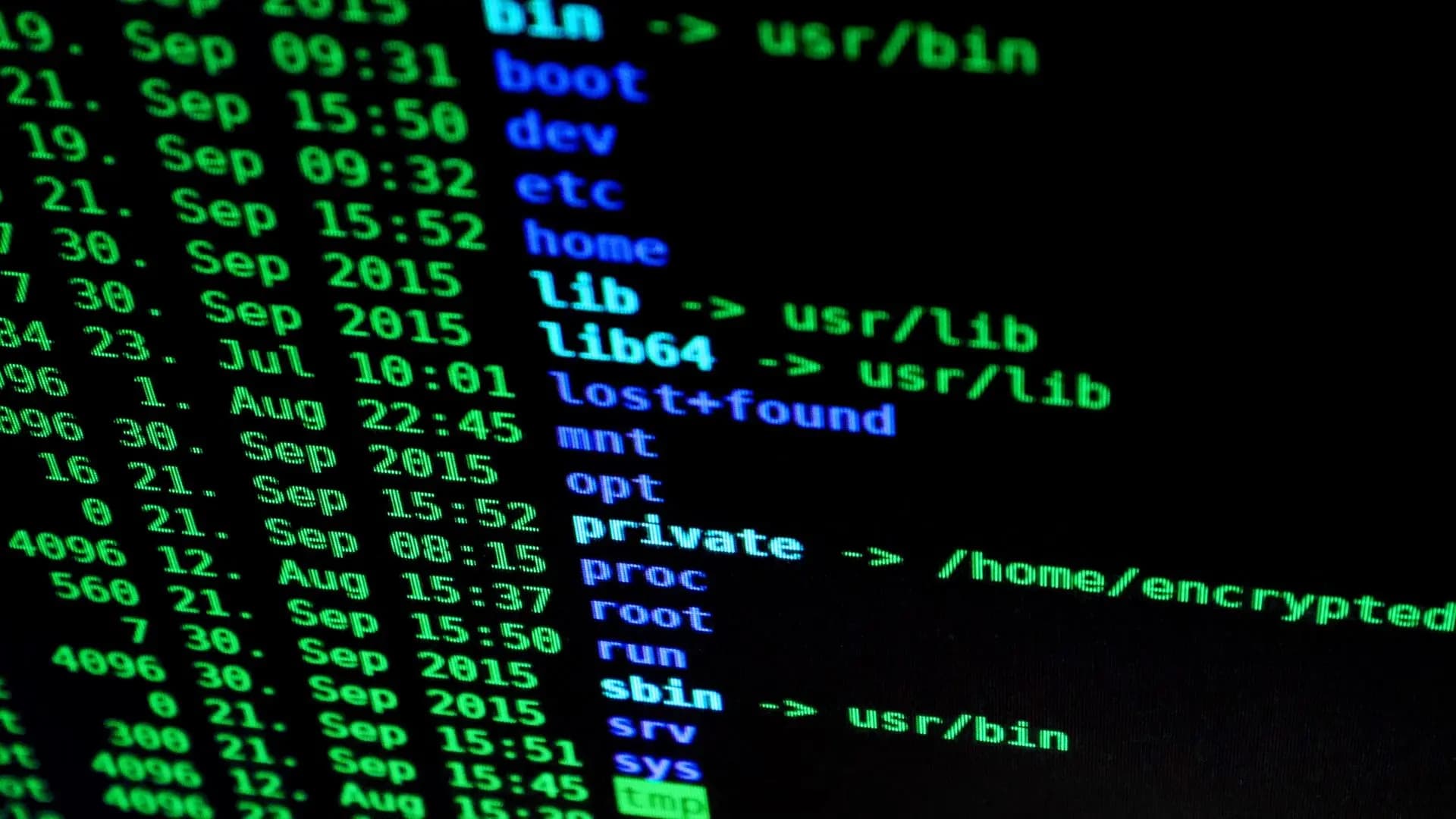A computer screen showing code in a terminal