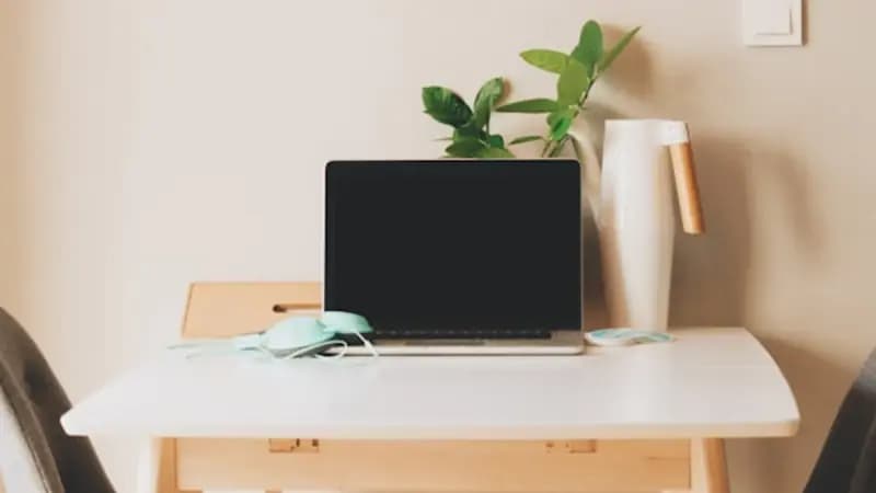 A laptop on a tidy home desk with a plant